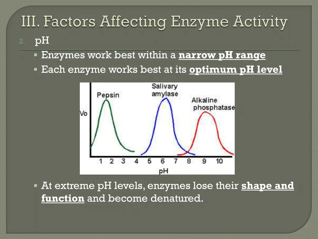 ph enzymes work best within a narrow ph range