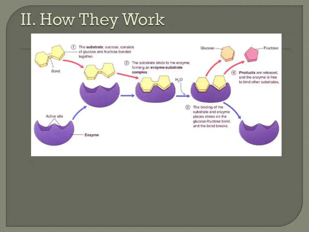 slide9