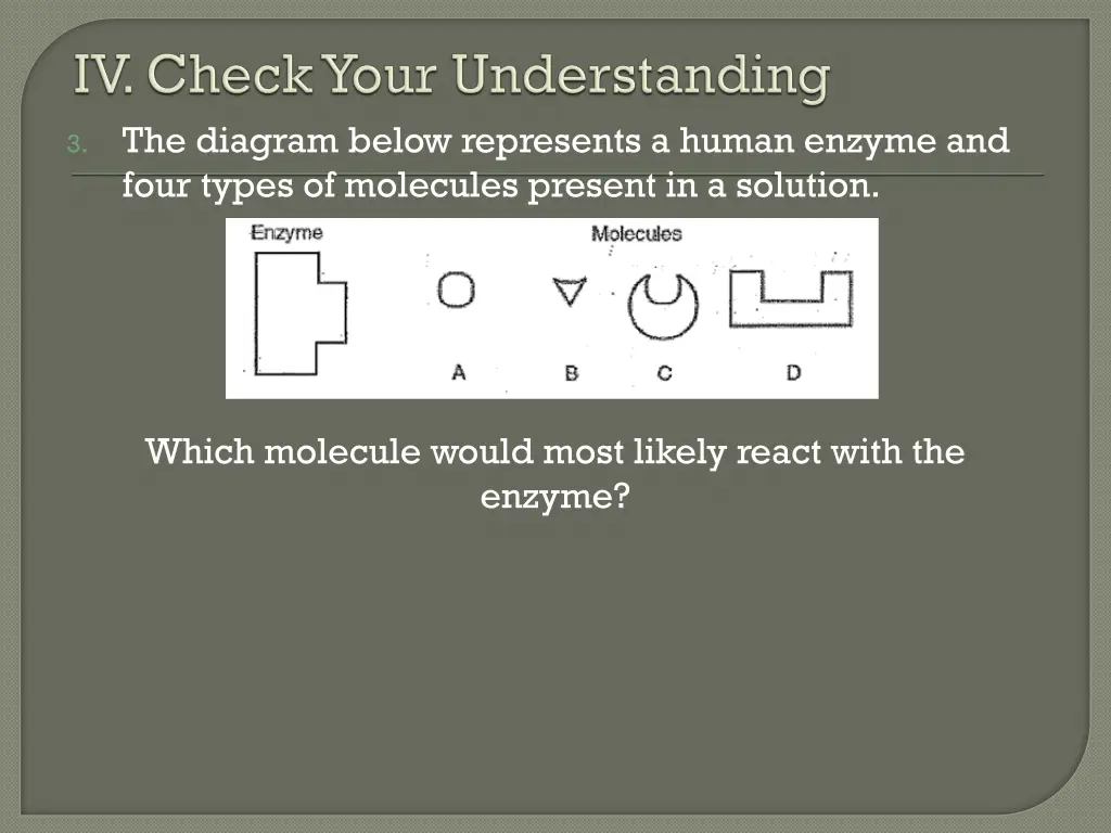 the diagram below represents a human enzyme
