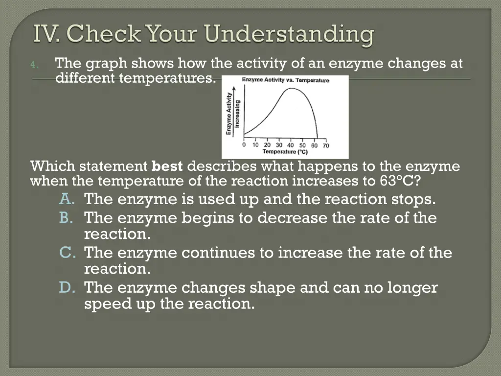 the graph shows how the activity of an enzyme