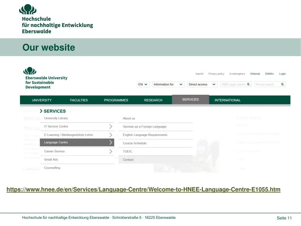 our website