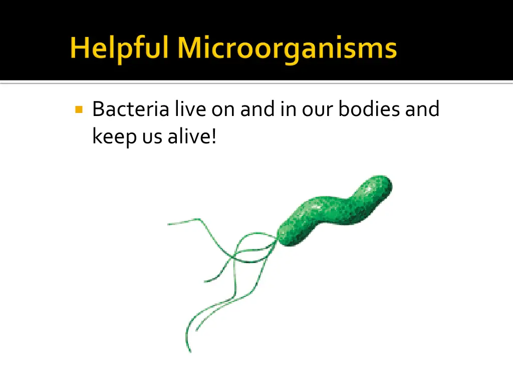 bacteria live on and in our bodies and keep