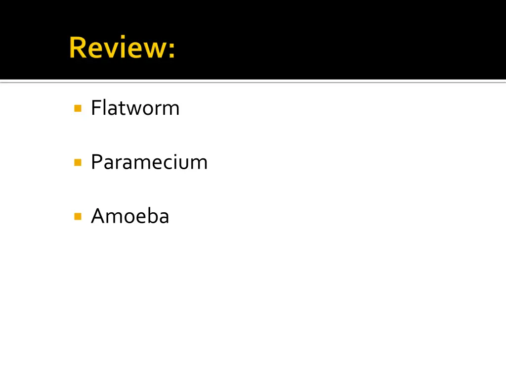flatworm