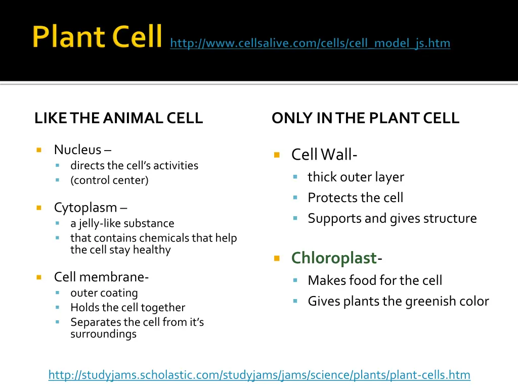 http www cellsalive com cells cell model js htm 1