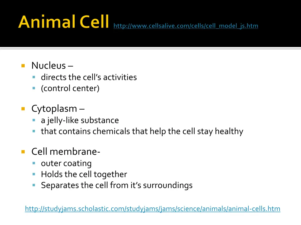 http www cellsalive com cells cell model js htm