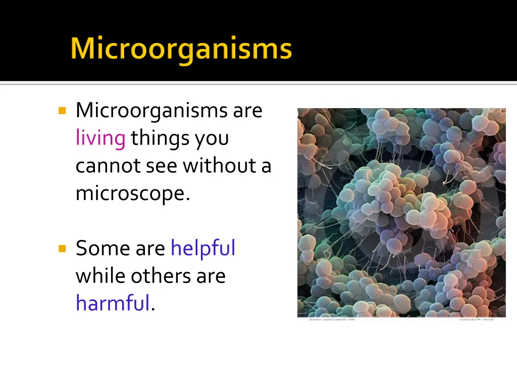 microorganisms are living things you cannot