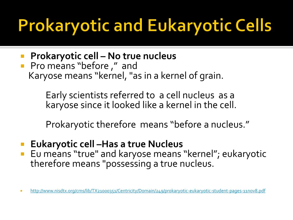 prokaryotic cell no true nucleus pro means before