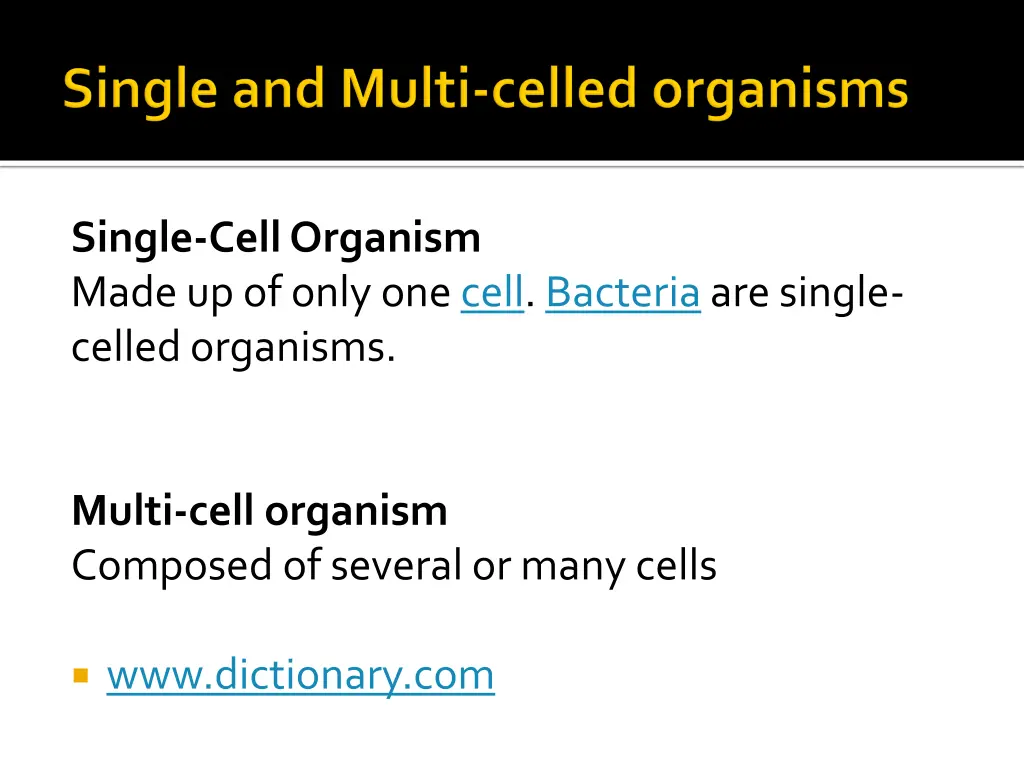 single cell organism made up of only one cell