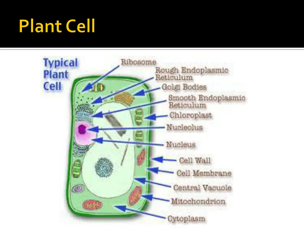 slide13