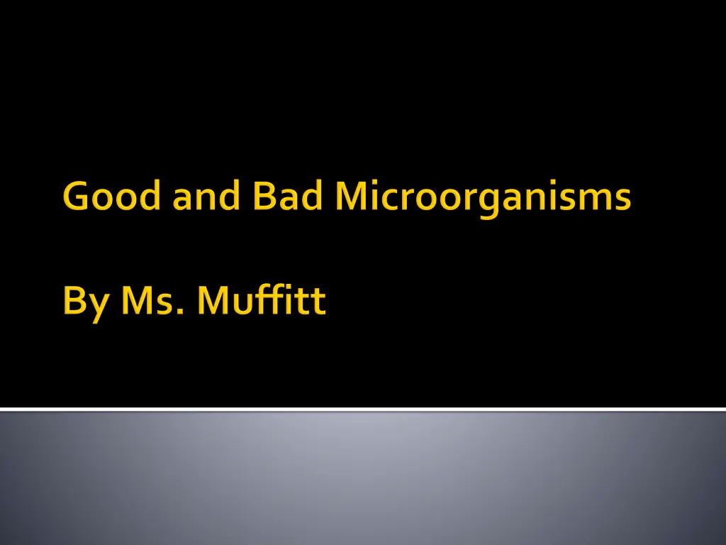 slide20