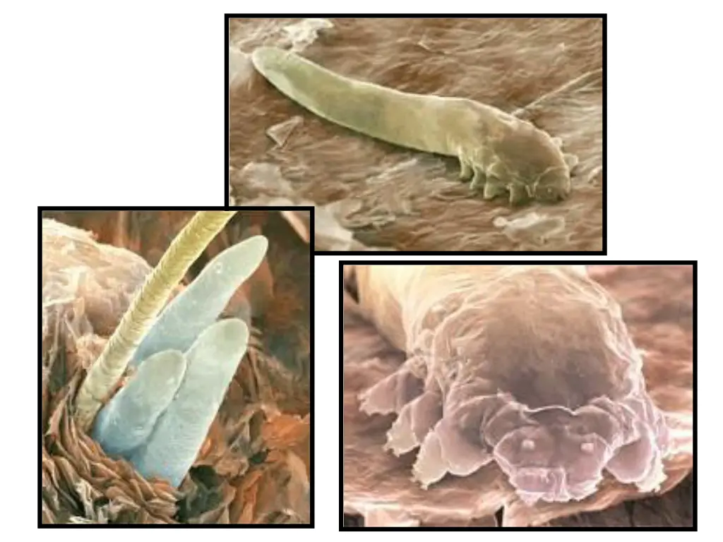 slide23
