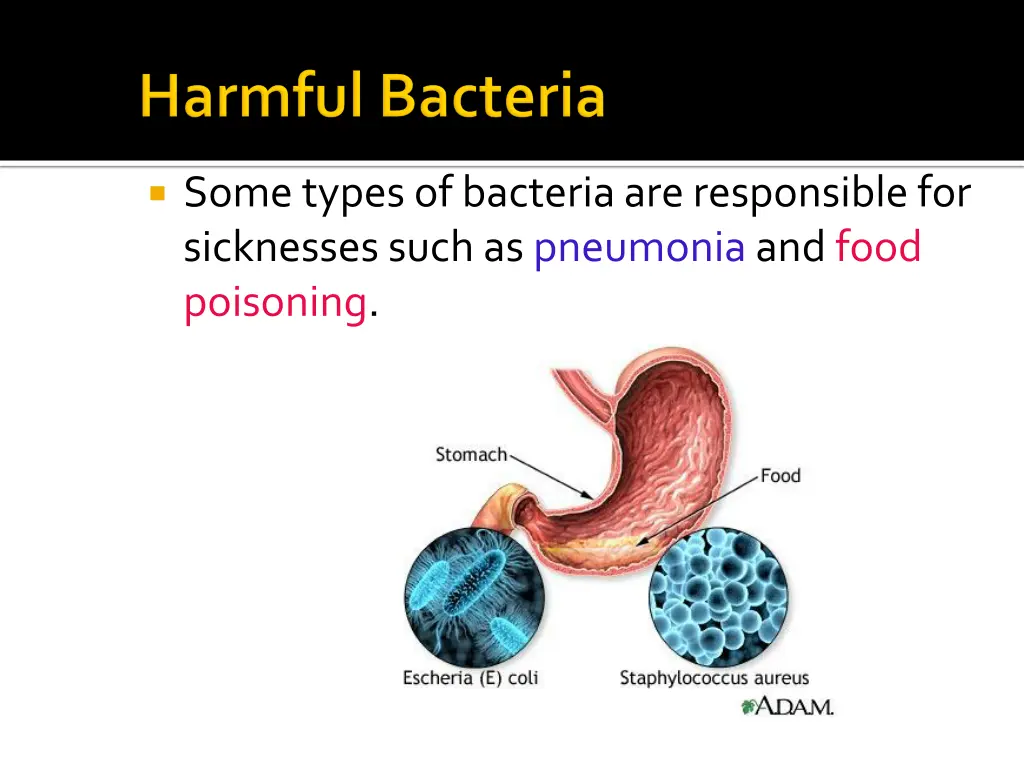 some types of bacteria are responsible