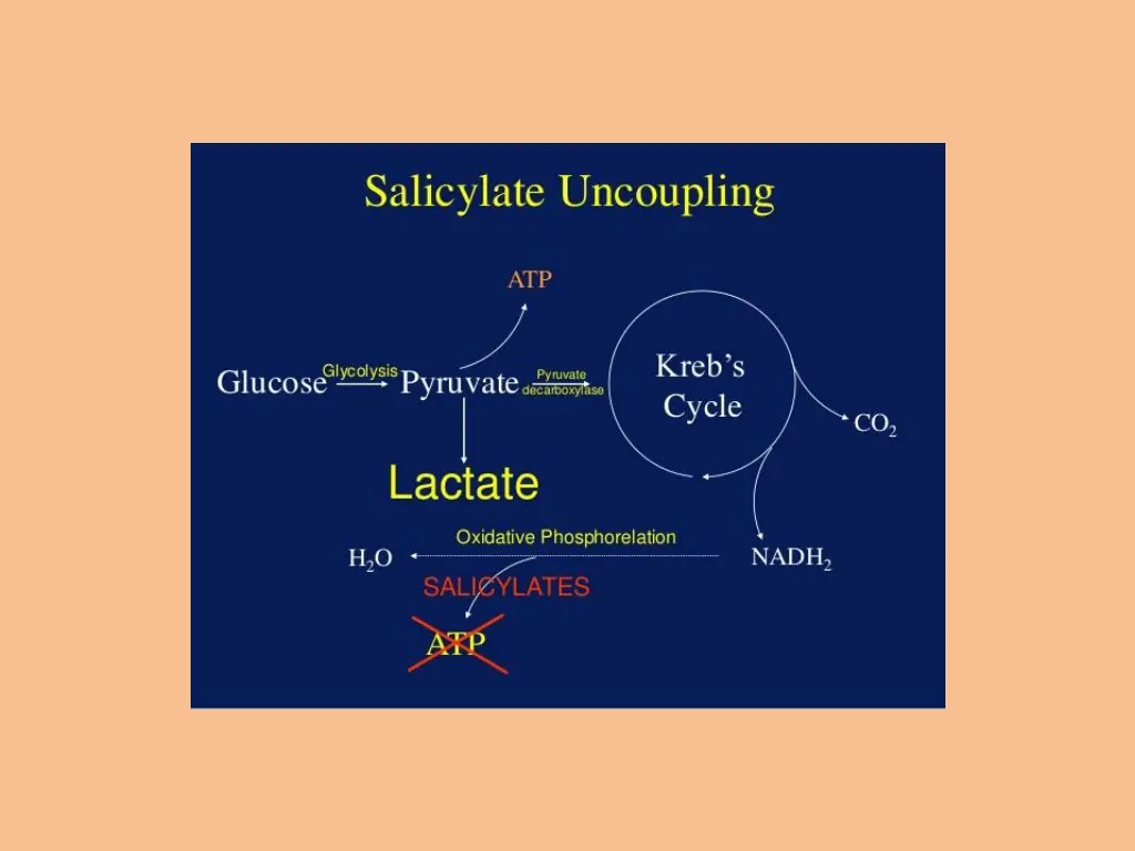 slide13