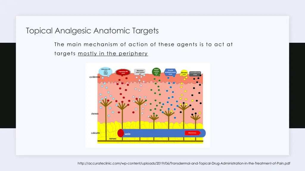 topical analgesic anatomic targets