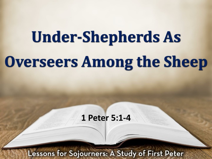 under shepherds as overseers among the sheep