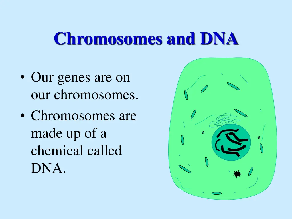 chromosomes and dna