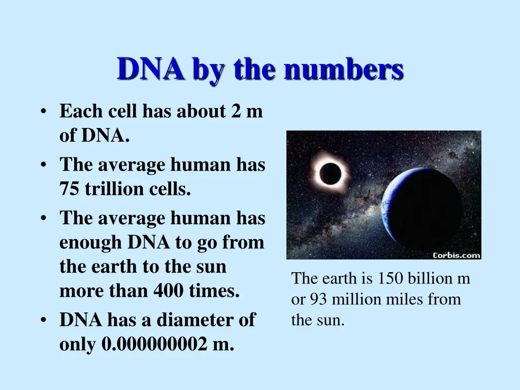 dna by the numbers