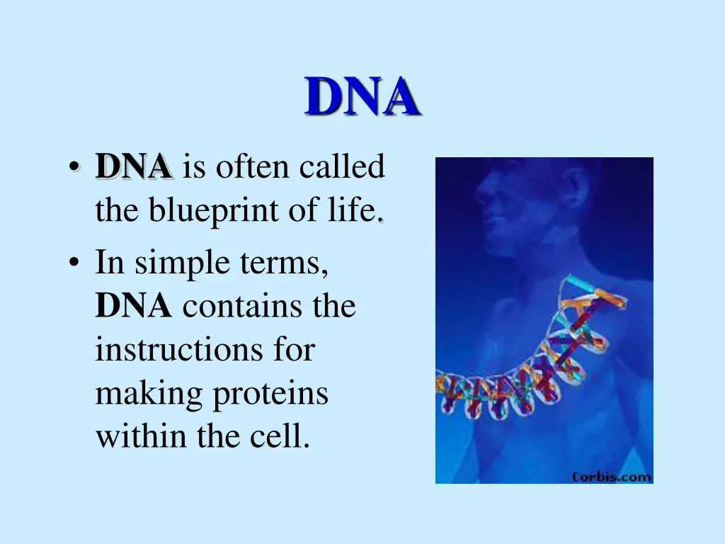slide3