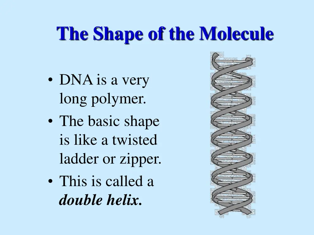 the shape of the molecule