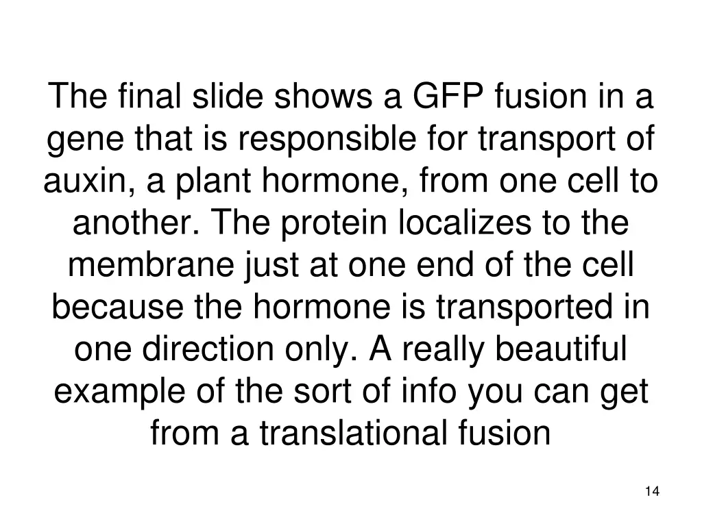 the final slide shows a gfp fusion in a gene that