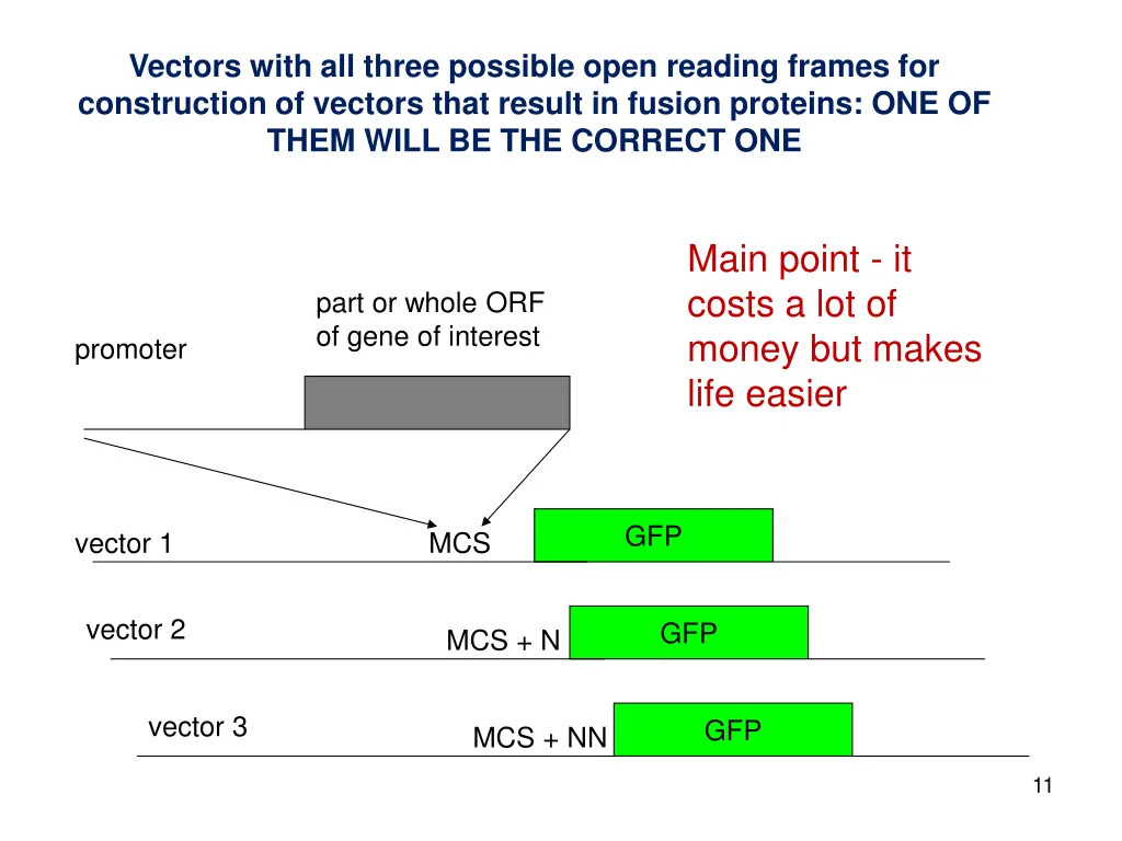 vectors with all three possible open reading