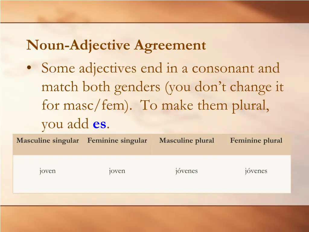 noun adjective agreement 4