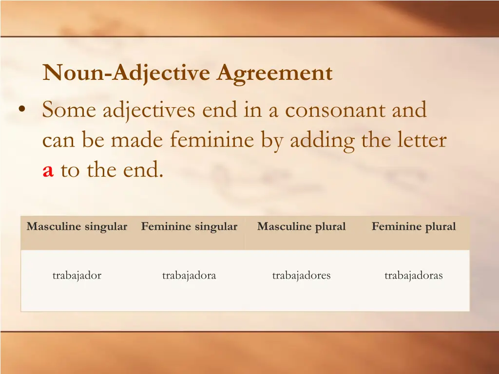 noun adjective agreement 5
