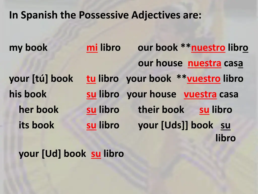 in spanish the possessive adjectives are