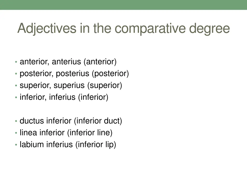 adjectives in the comparative degree