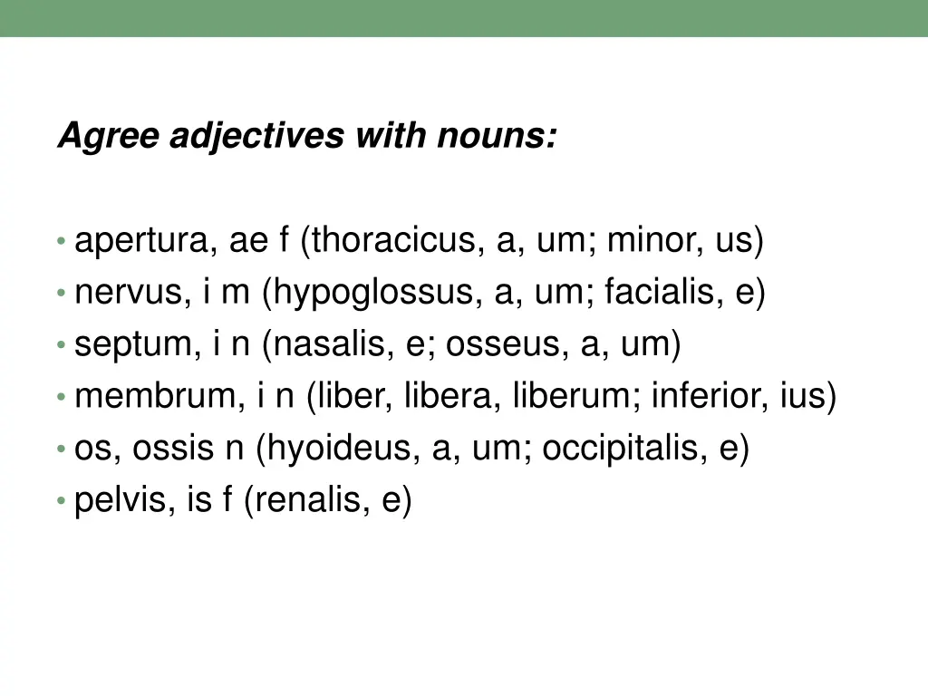 agree adjectives with nouns