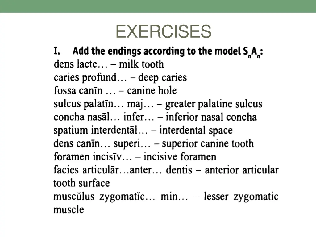 exercises