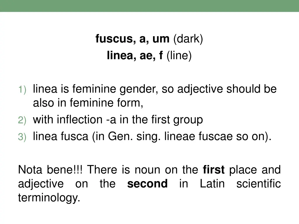 fuscus a um dark linea ae f line