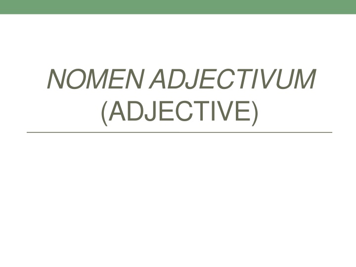 nomen adjectivum adjective