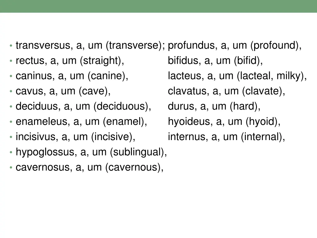 transversus a um transverse profundus