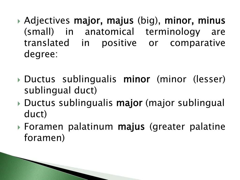 adjectives major small translated degree