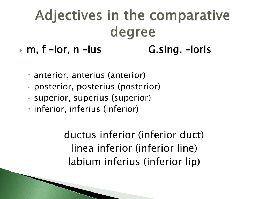 slide11