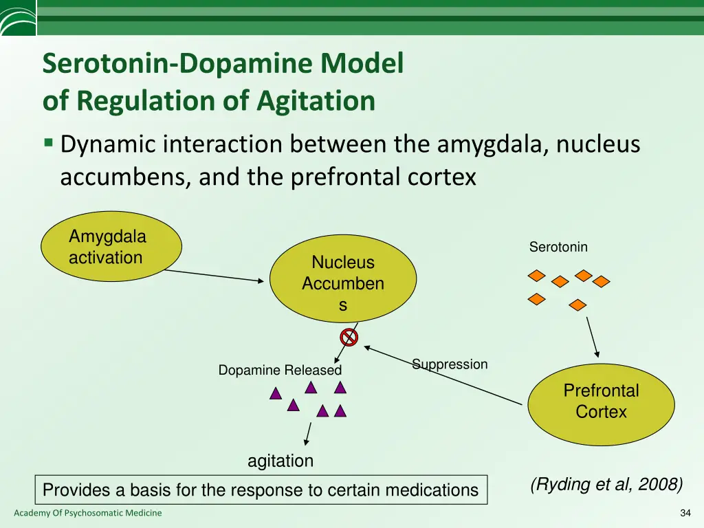serotonin dopamine model of regulation
