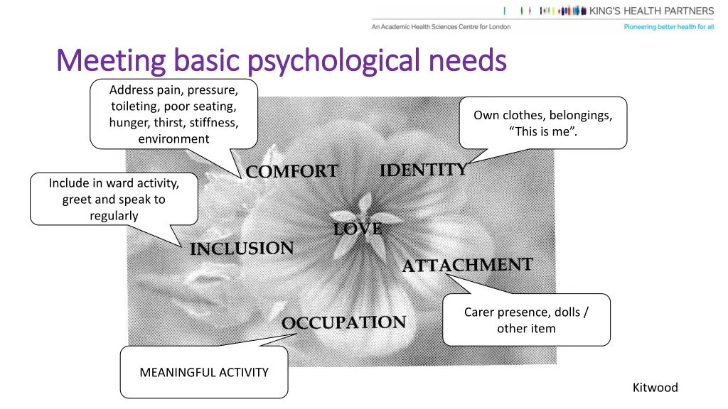 meeting basic psychological needs meeting basic