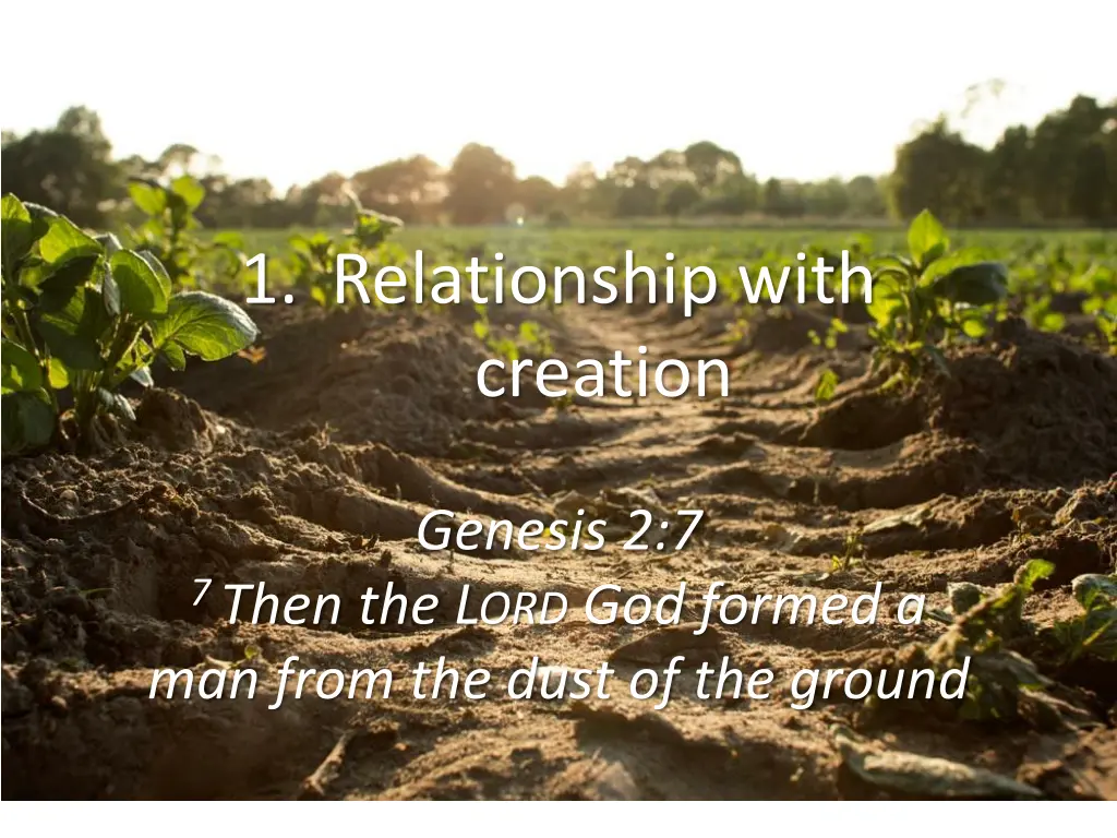 1 relationship with creation