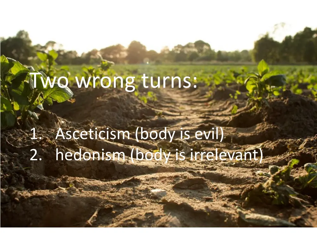 two wrong turns