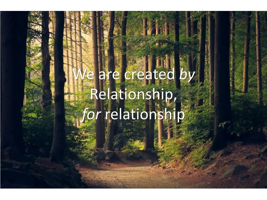 we are created by relationship for relationship