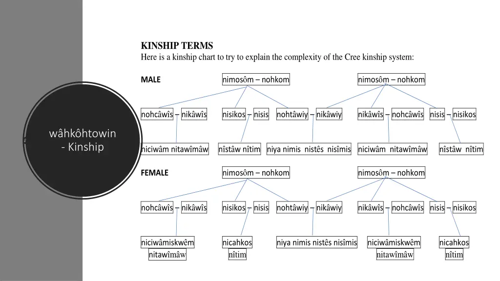 kinship terms here is a kinship chart