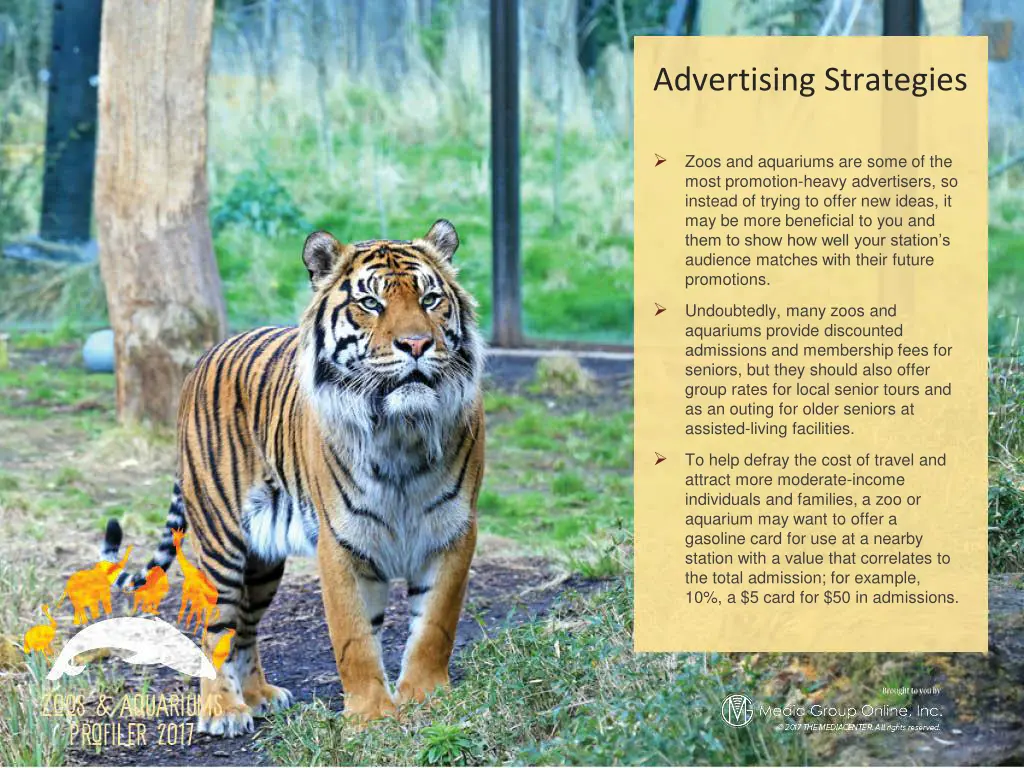 advertising strategies