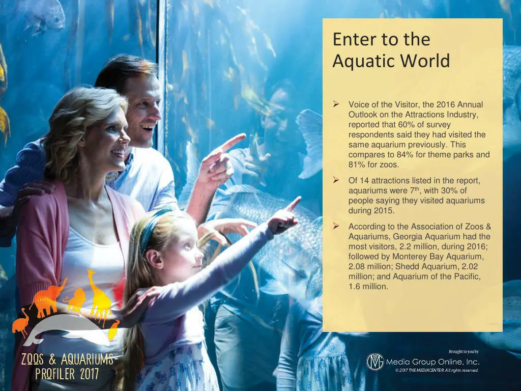 enter to the aquatic world