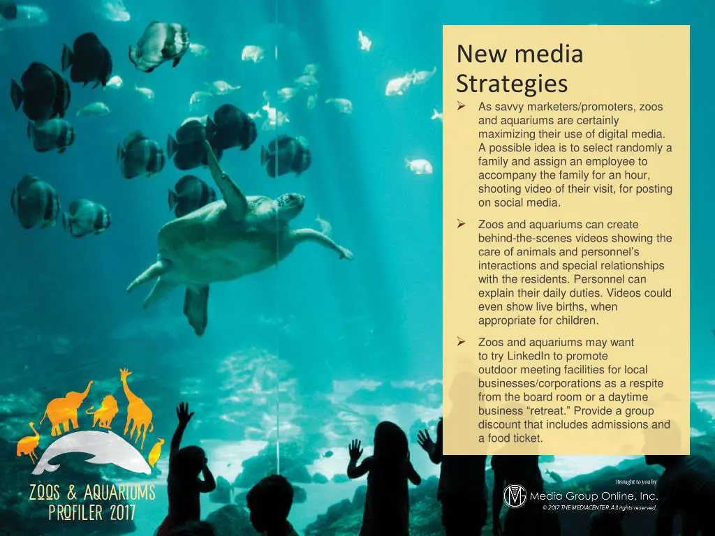 new media strategies