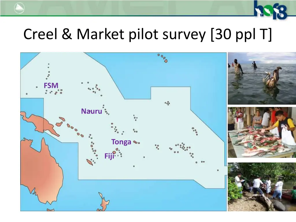 creel market pilot survey 30 ppl t