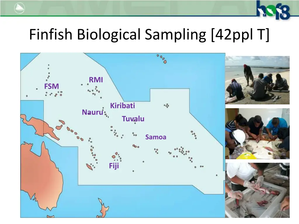 finfish biological sampling 42ppl t