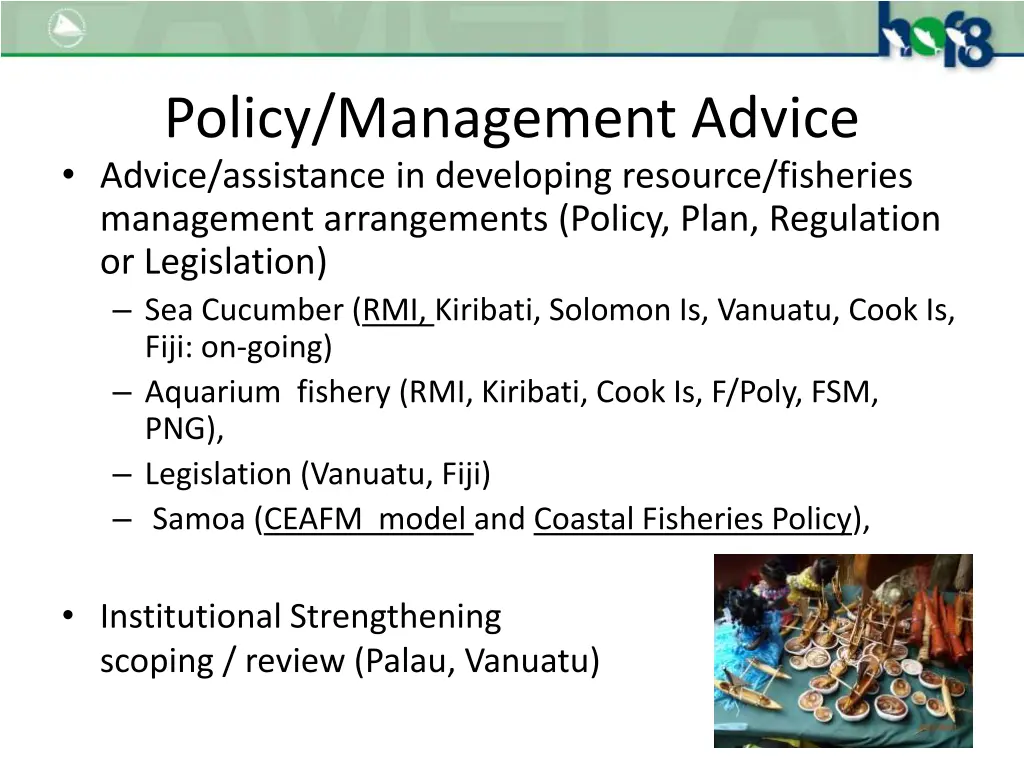 policy management advice advice assistance