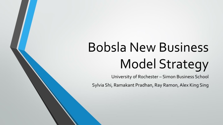 bobsla new business model strategy