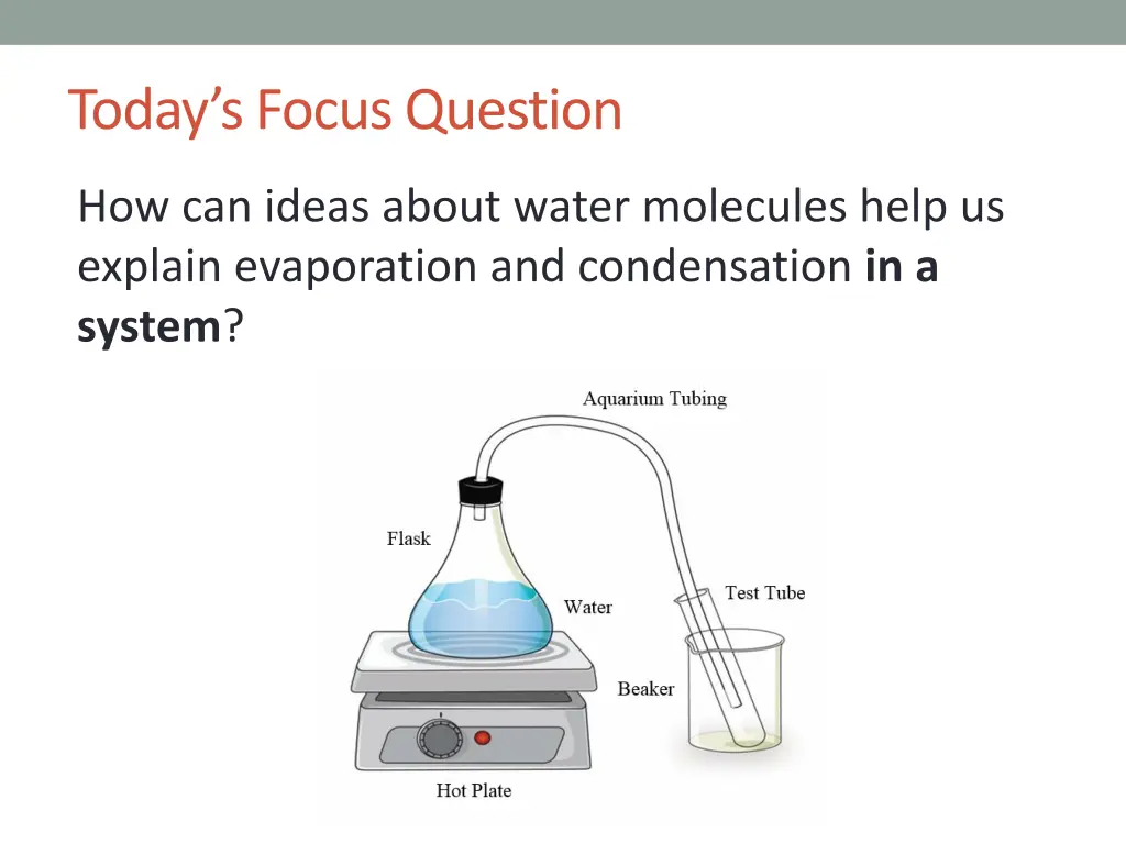 today s focus question